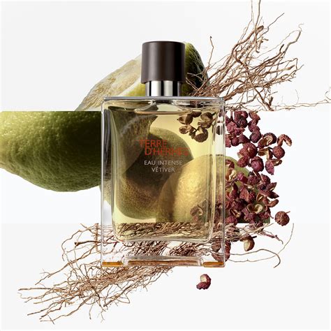 profumo terre hermes|hermes terre d'hermes bottle.